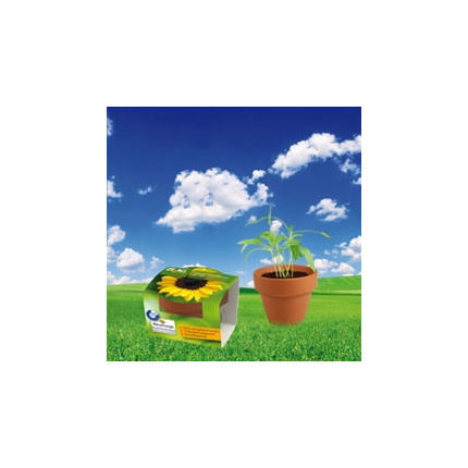 Blumentopf mit Banderole - Topgiving